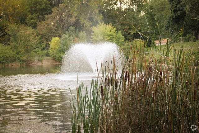 Pond