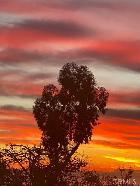 Photo - 1076 Miramar St Casa