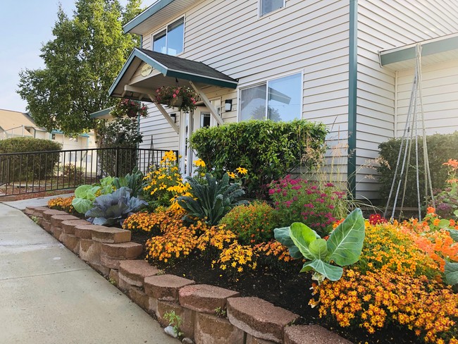 Community Garden - Chester Park Estate