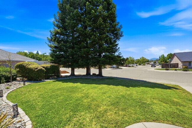 Very clean move in ready dog friendly