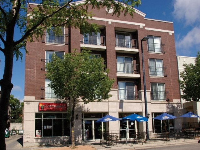 244 on Gilman - 244 on Gilman Apartments