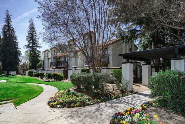 Cedar Springs Apartments