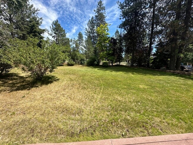 Photo - Suncrest Rental