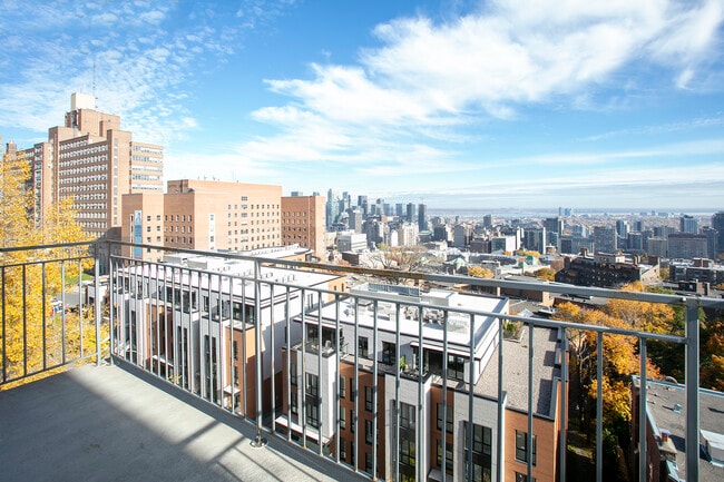 Photo - The Cedar Plaza