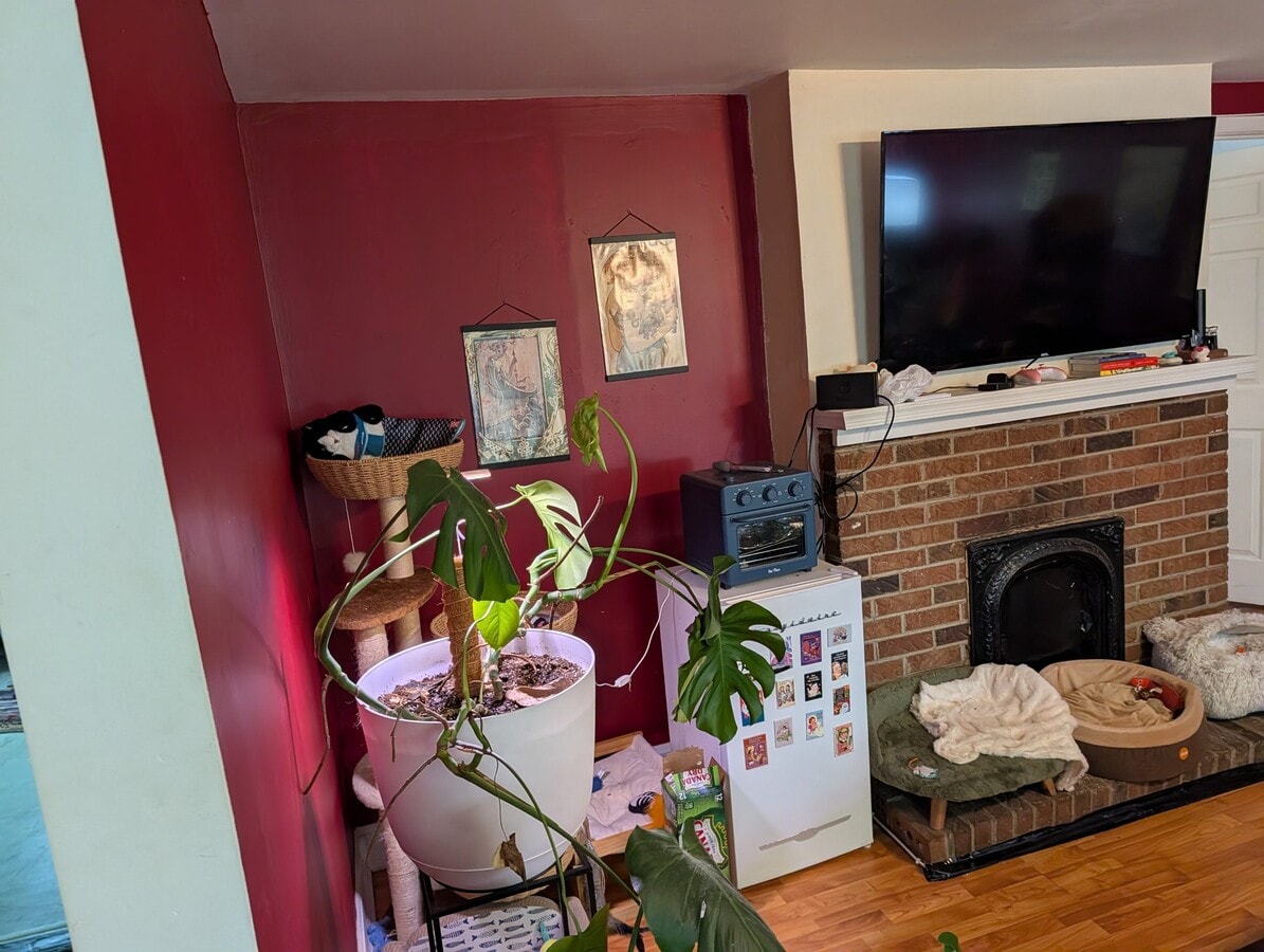 Photo - 526 S Laurel St