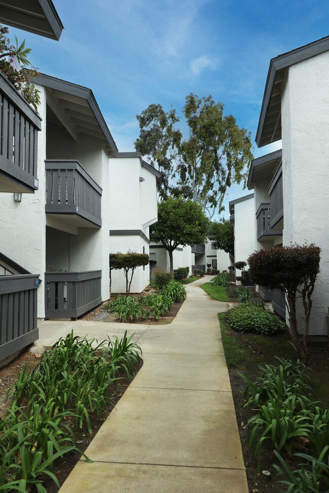 Birchmont