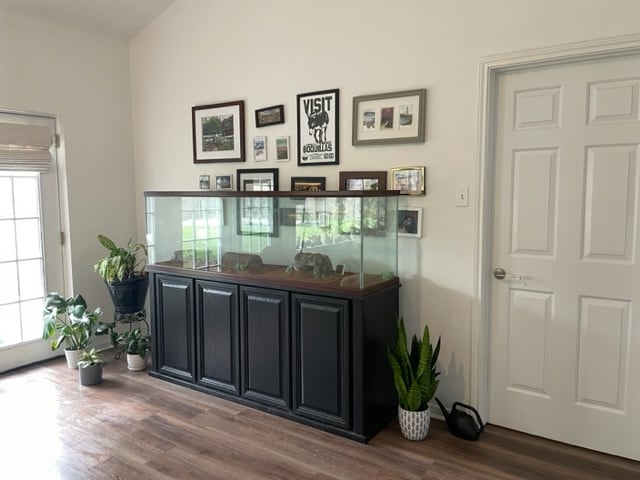 Living Room with French Doors - 1104 Buffalo Gap Rd