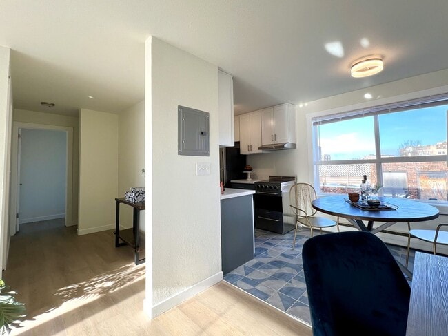 Photo - The Larkspur