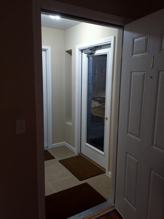 View from inside apt into the building entrance - 3903 Cass St Unit #1