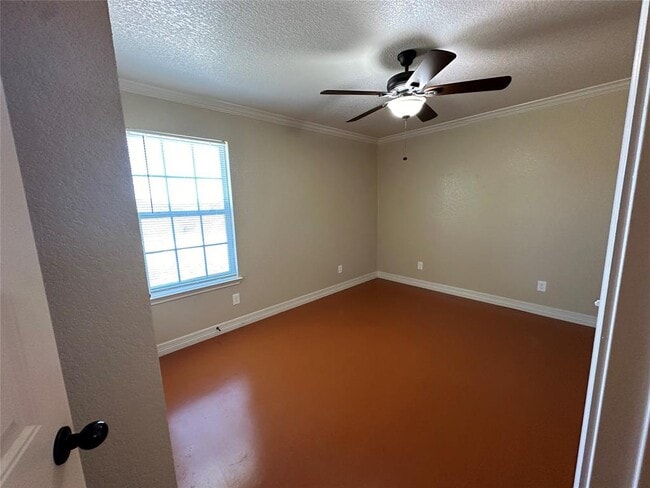 Photo - 803 Leifester Cir