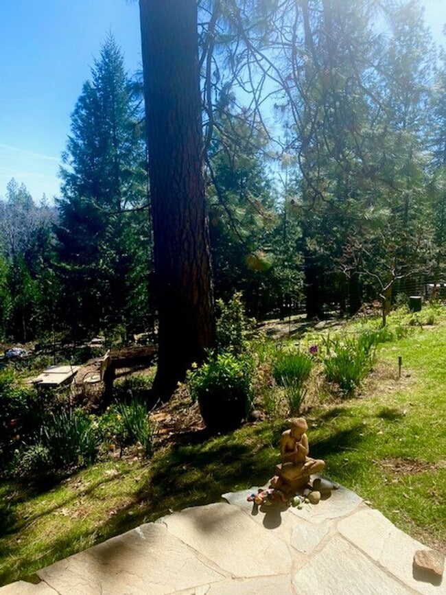 Building Photo - 14200 Tahoe View Dr Unit 1