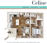 Celine.png
