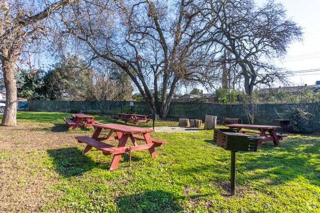 Picnic Area