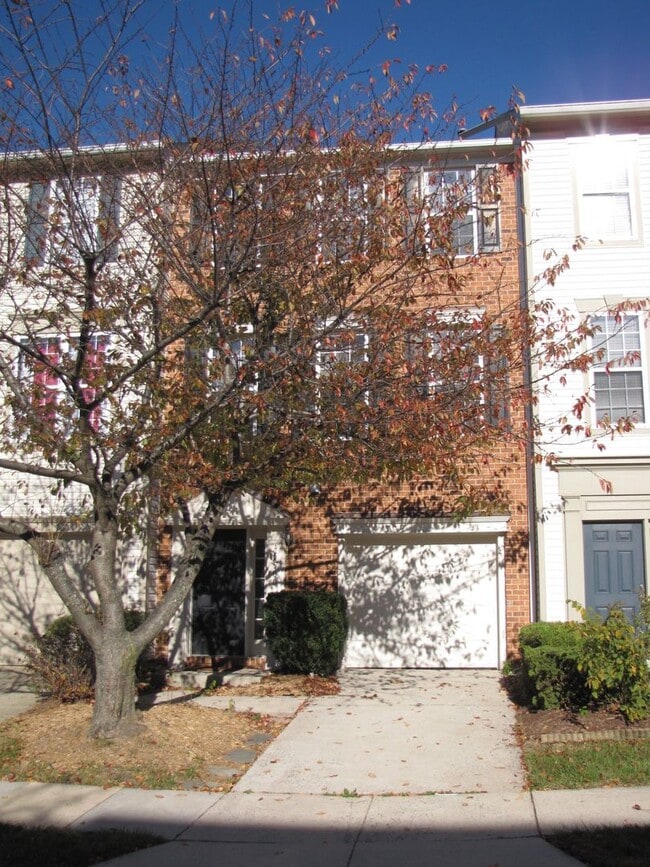 Building Photo - Townhouse In Sterling