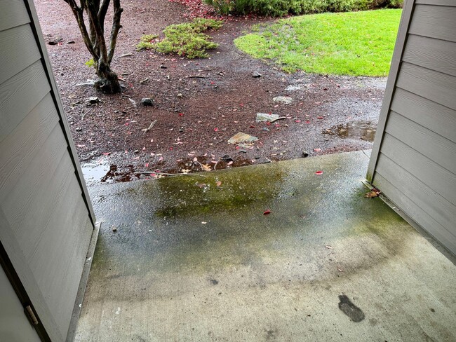 Photo - Cedar Mills Two Bedroom Condo-Nicely Remodeled! Unit 2