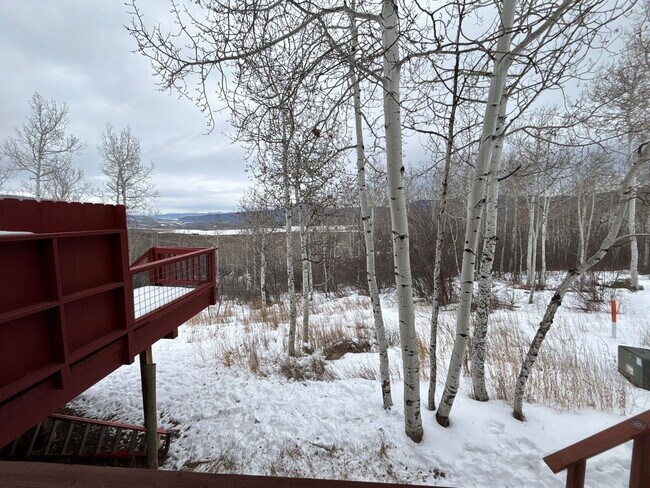 Photo - 23015 Schussmark Trail