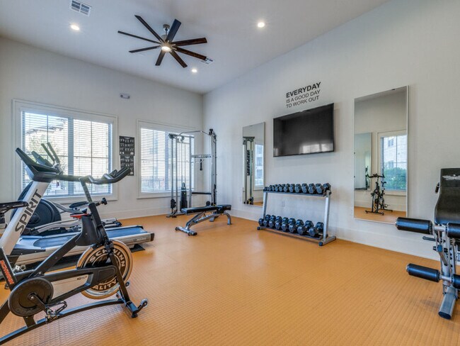 Photo - THE MARK ON SOLON