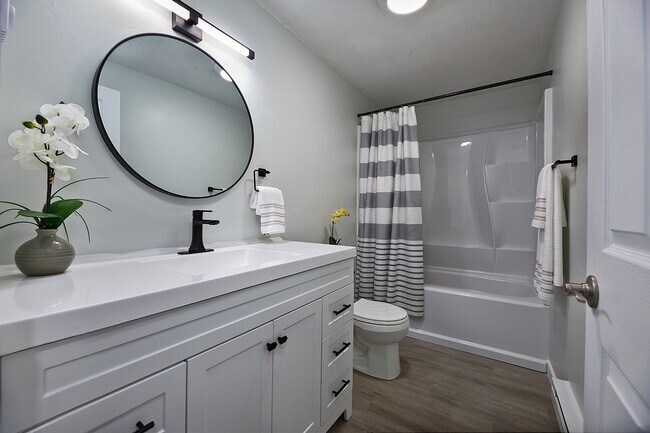 Photo - READY SET MOVE!!! GREAT PRICE & LOCATION - Darling Rambler in Olympia