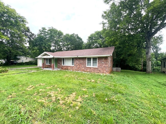 Photo - 207 Mitchell St