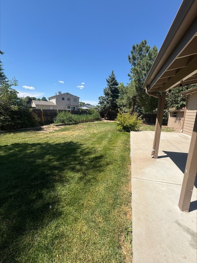 backyard - 5879 S Oak St