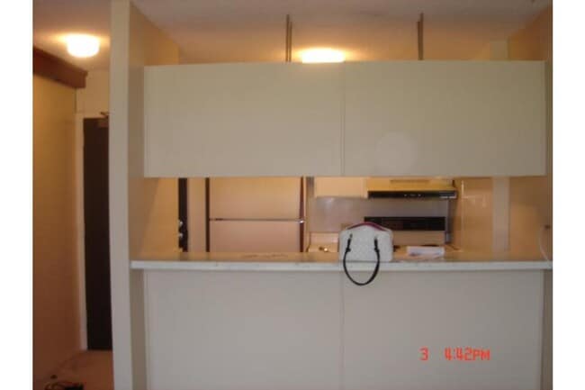 Photo - 98-450-450 Koauka Loop Unit 1503