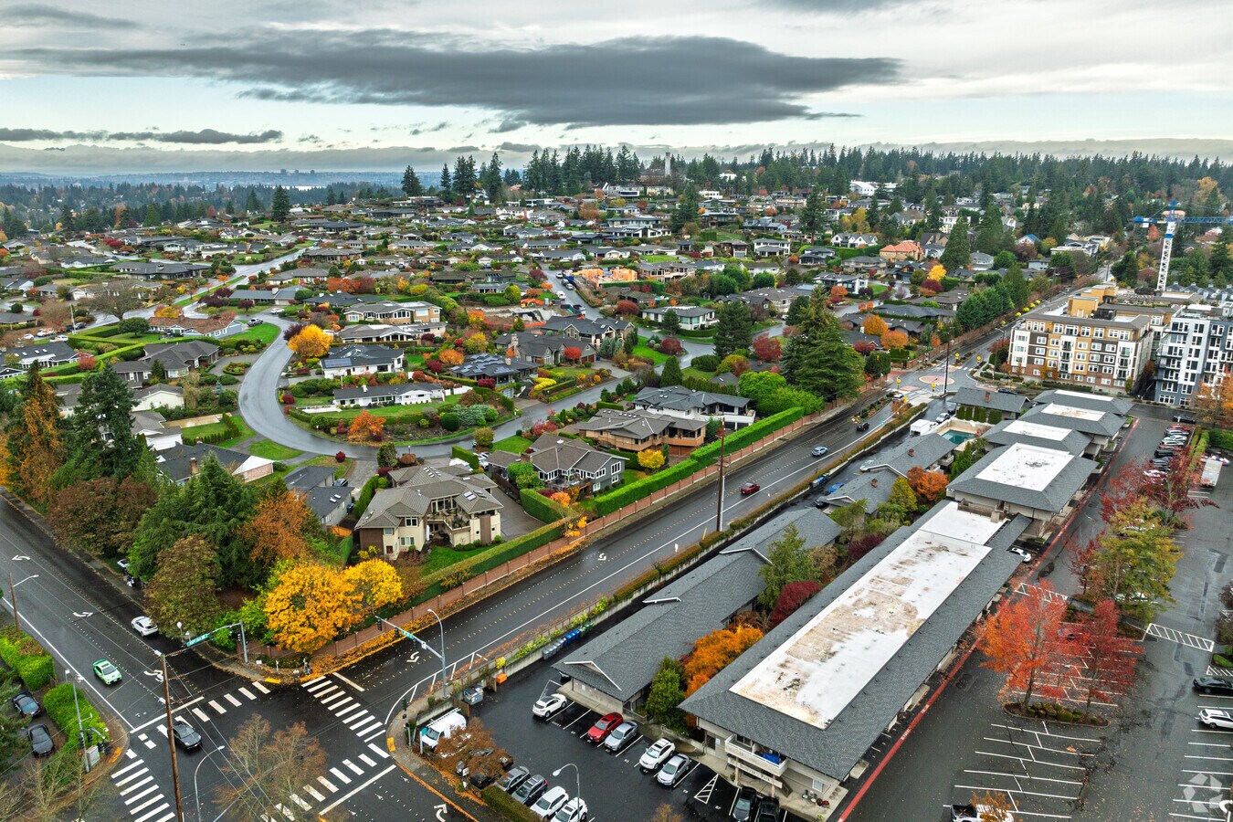 Photo - Bellevue Park