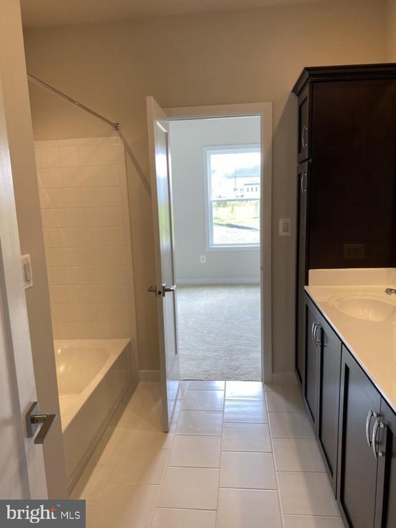 Photo - 24980 Striped Maple Dr