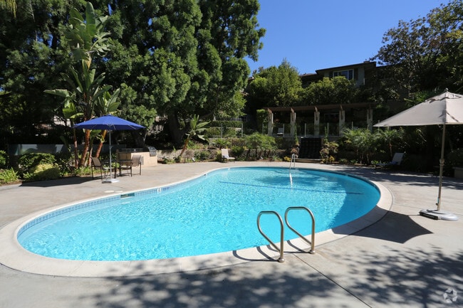 Piscina - Orange Grove Circle