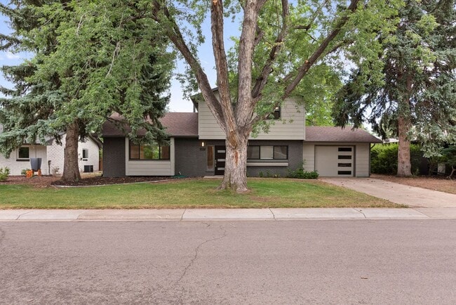 Photo - 4 Bedroom completely remodeled home in Fort Collins