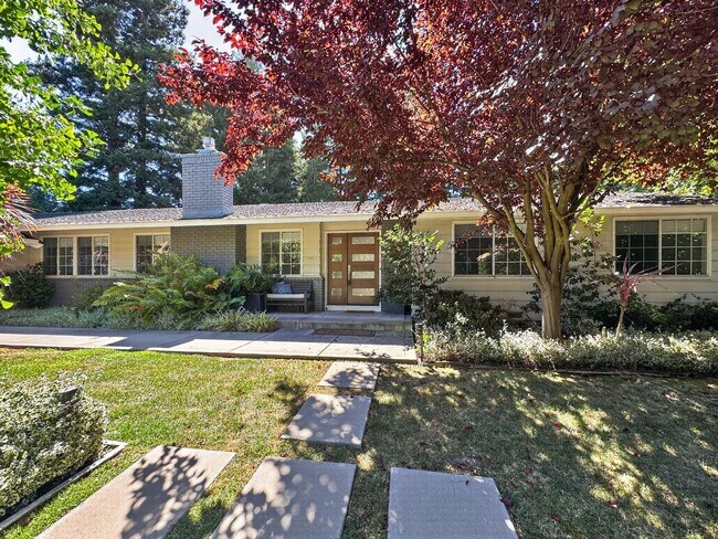 Photo - Gorgeous 4 Bedroom PLUS Spacious Bonus Room with Pool in Desired Alamo Neighborhood Available Now!
