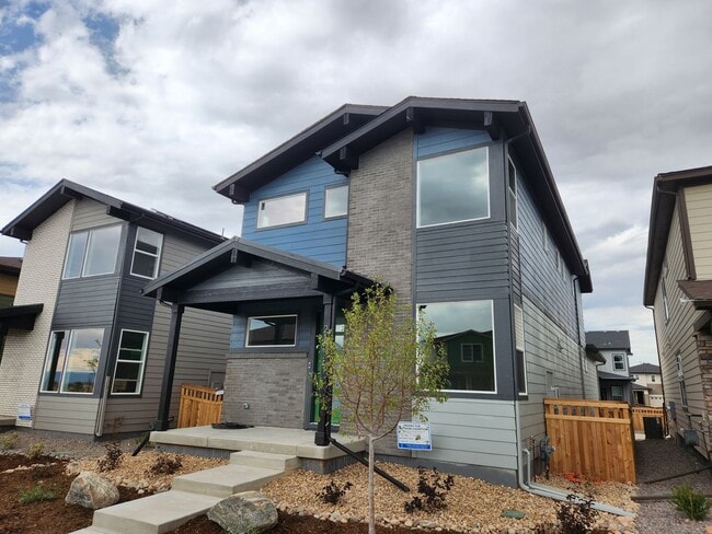 Building Photo - Newer single family home in Painted Prairie.
