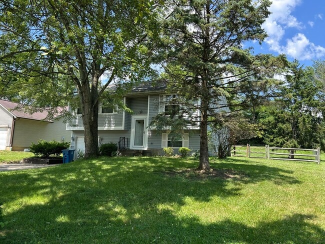 Photo - Remodeled 3 Bedroom House in Mason