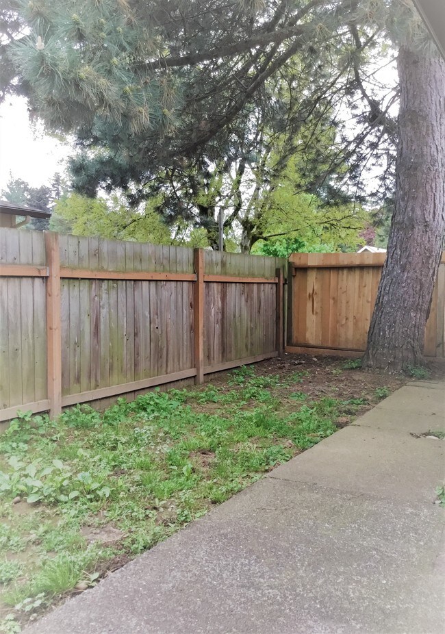 Photo - Country Rambler