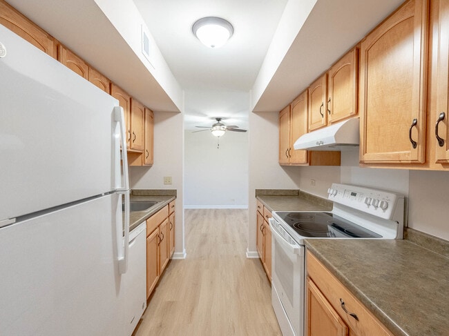 Photo - 530 Shorely Dr Unidad 104