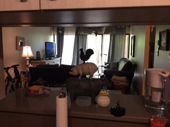 Living room - 400 S Lafayette St Unit Park Lafayette Condominiu