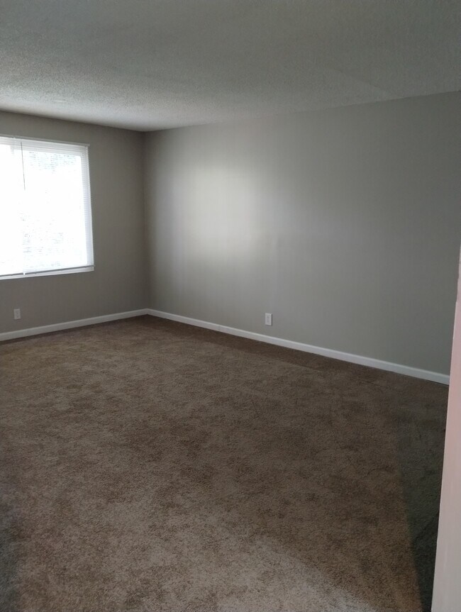 New windows throughout the unit - 441 Harding Pl Unit 441 Harding Place H-6