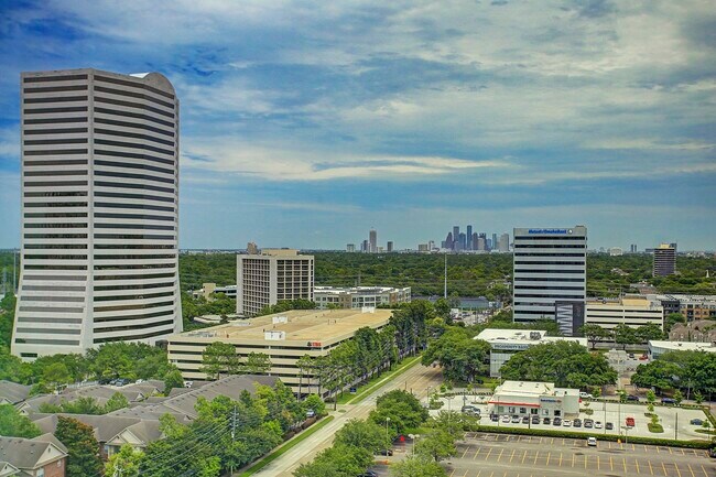 4521 San Felipe St Unit 1403