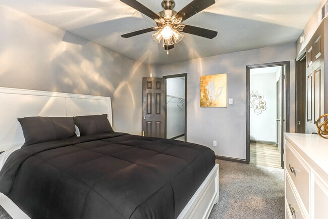 Photo - Pine Forest Park