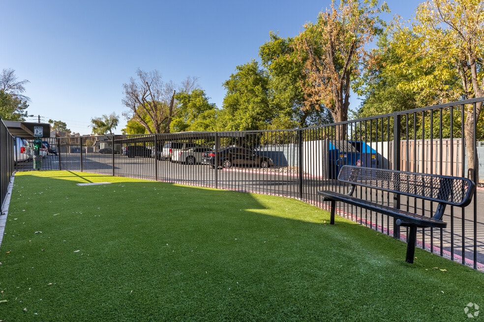 Dog Park