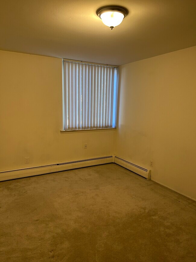 Carpeted flooring - 2315 Packard St Unit A-207