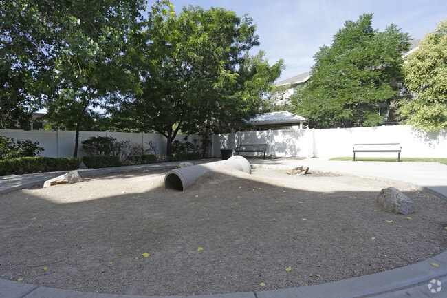 Dog Park