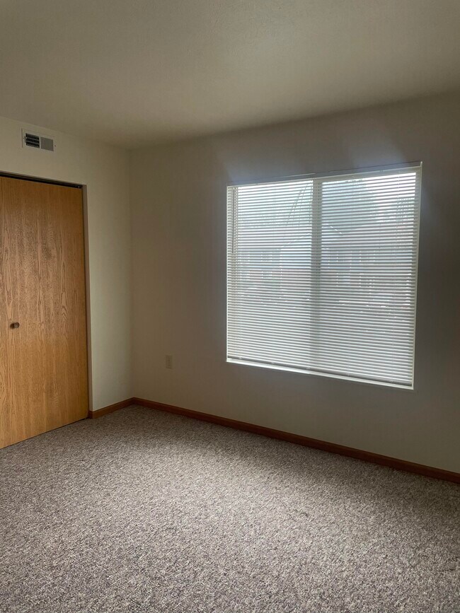 Plenty Of Natural Light
