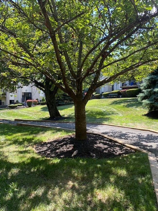 Photo - Riverview at Nyack