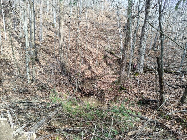 Photo - 362 Ester Spur Rd