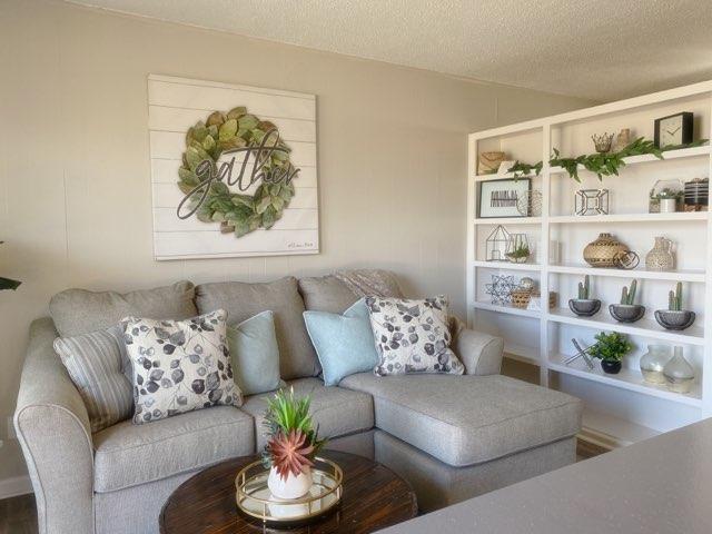 Renovated Living Room with Built in Shelves