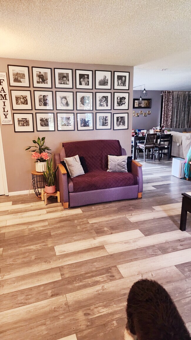 Photo - 2247 48th Ave