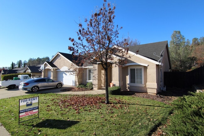 Building Photo - Spacious Placer Pines Home