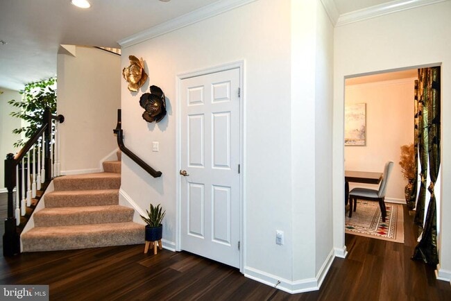 Photo - 11830 Steeplebush Dr