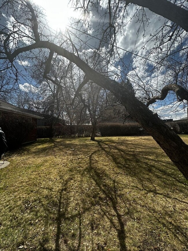 Photo - 2 Bedroom Apartment Only Steps from Campus