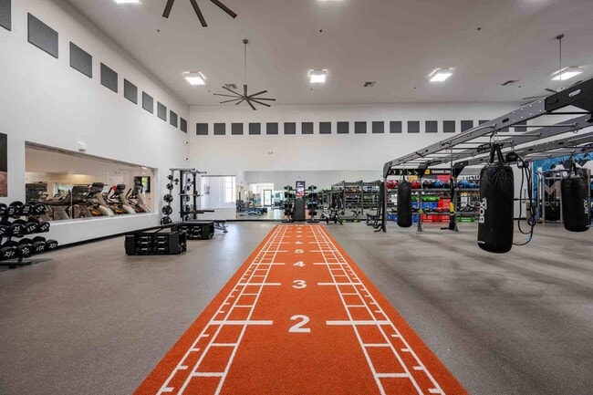 Zone, Glendale, AZ, Gimnasio